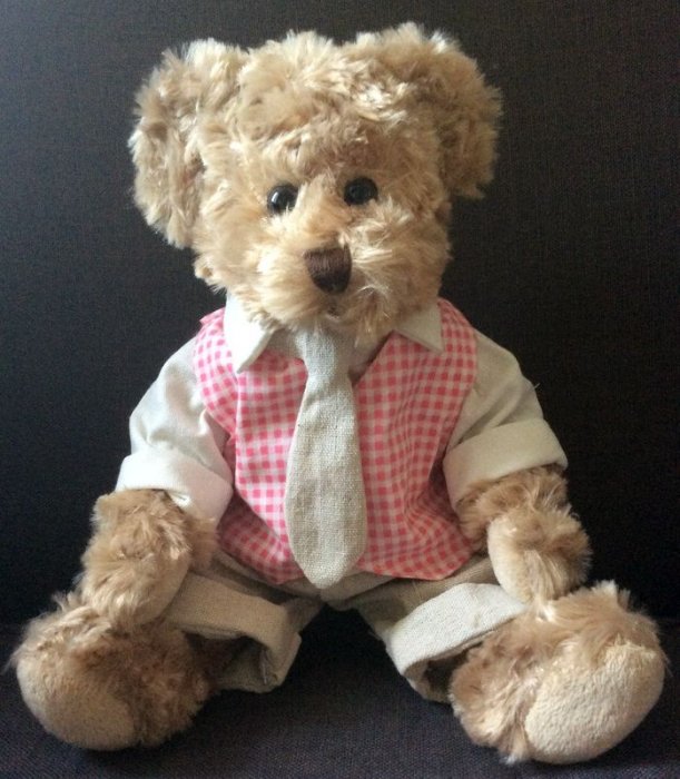 Peluche ourson, chemise Vichy rouge, pantalon et cravate beige, polyester, 30 cm