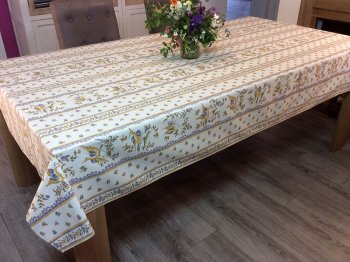 Nappe Rectangulaire 3m